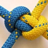 Общественно-политическая ситуация в Украине: декабрь 2013