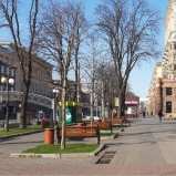 Коронавірус та локдаун: ставлення киян