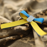 Правосуддя та пам'ять про війну: погляди українців