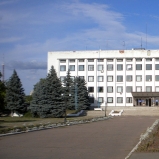 Мониторинг местных выборов 2020 Александрия