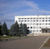 Мониторинг местных выборов 2020 Александрия